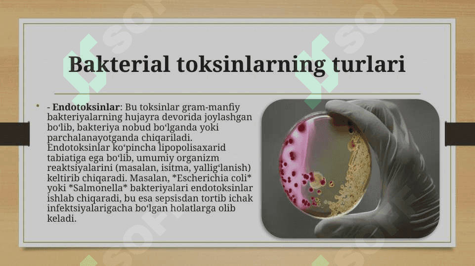 Bakterial taksikoz 4