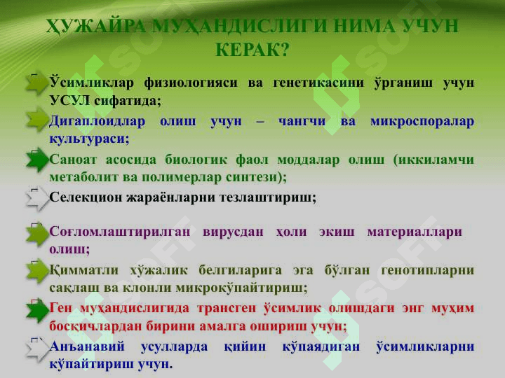 УЖАЙРА ВА ТЎҚИМАЛАР КУЛЬТУРАСИ МУҲАНДИСЛИГИ 6