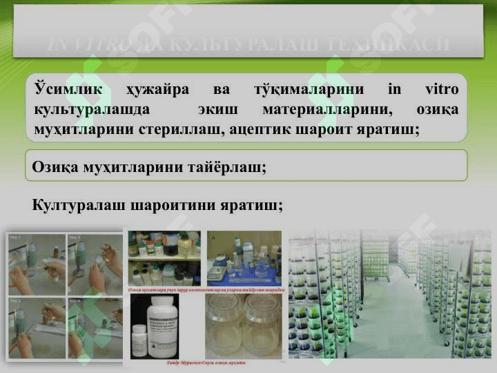 УЖАЙРА ВА ТЎҚИМАЛАР КУЛЬТУРАСИ МУҲАНДИСЛИГИ 8