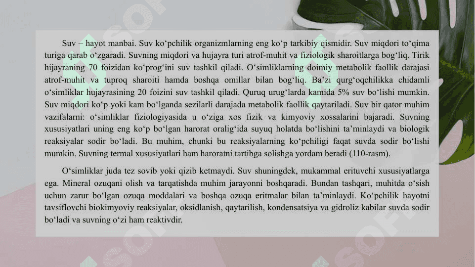 O‘SIMLIKLARDA SUV ALMASHINUVI Jarayoni 3