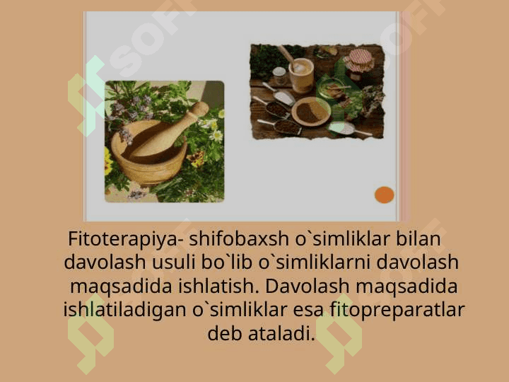 Fitopreparatlar va ularning qo`llanilishi 2