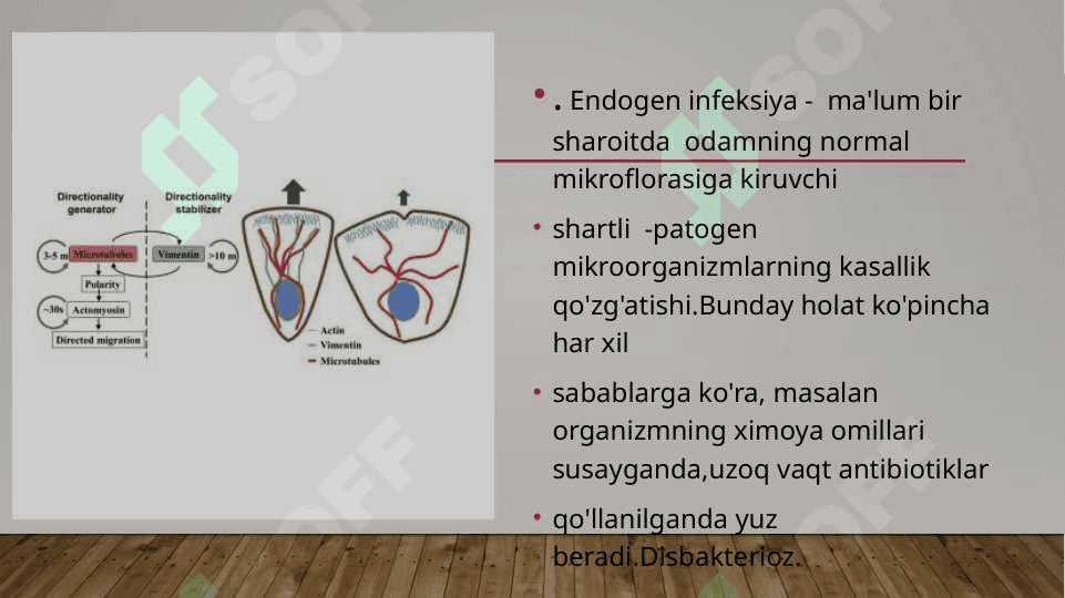 INFEKSIYALAR KO’P QIRRALI SHAKINLANISHINI BELGILAYDIGAN OMILLAR 4