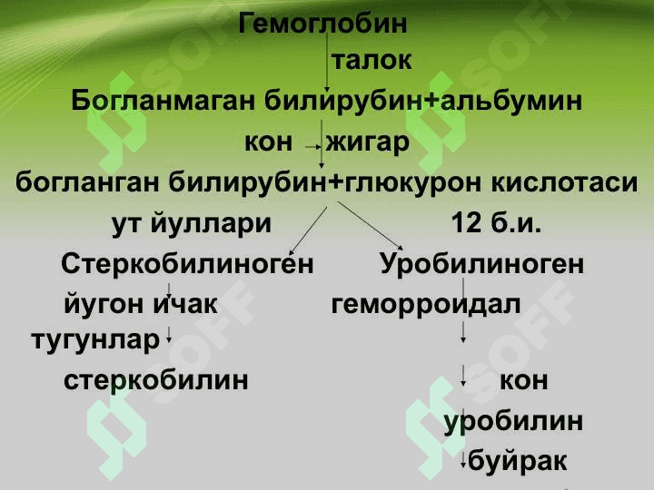Ichki kasalliklar diagnostikasida qon biokimyoviy tahlili kursatkichlari ahamiyati . Ички касалликлар диагностикасида кон биохимиявий тахлили курсатгичлар ахамияти 8