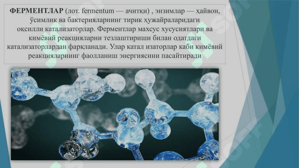 Ферментлар биокимёси 2