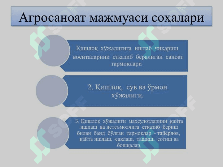 Қишлоқ хўжалиги, унинг тараққиёти ва юксалиш йўллари 4