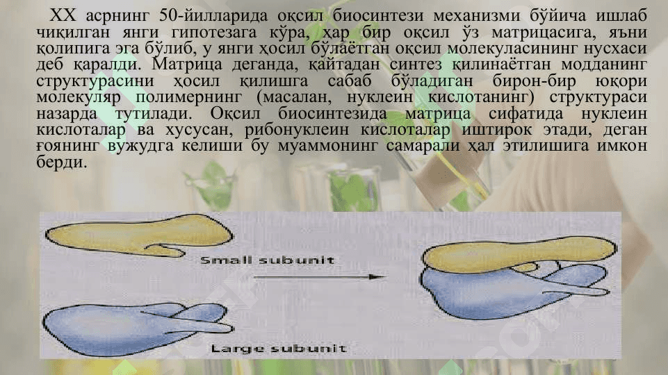 Оқсиллар синтези ва парчаланиши 5
