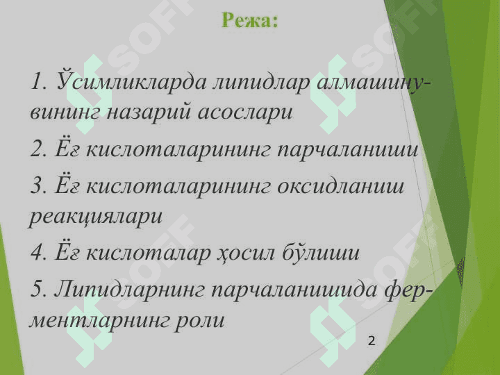 Ўсимликларда липидлар алмашинуви 2