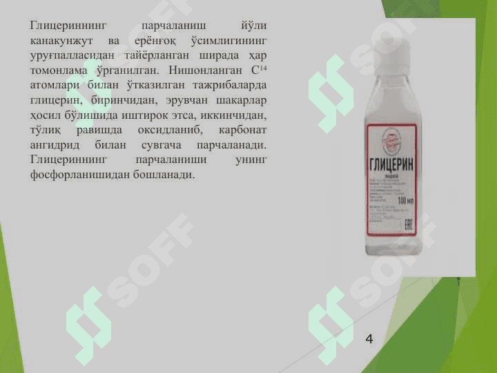 Ўсимликларда липидлар алмашинуви 4