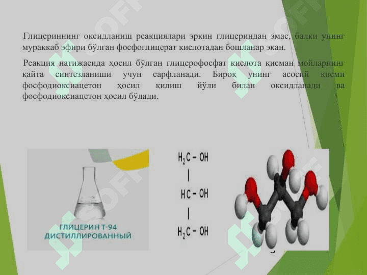 Ўсимликларда липидлар алмашинуви 5