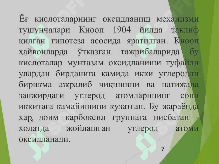 Ўсимликларда липидлар алмашинуви 7
