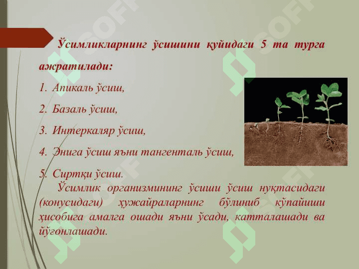 Ўсимликшуносликда стимуляторларни қўллашнинг биотехнологик асослари 3