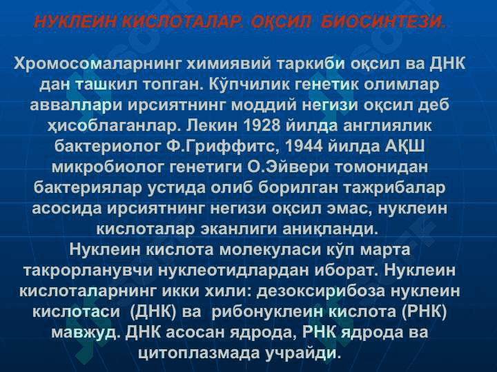 Нуклеин кислоталар ва оқсил биосинтезлар 2