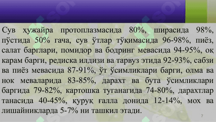 ЎСИМЛИКЛАРДА СУВ АЛМАШИНУВИЎСИМЛИКЛАРДА СУВ АЛМАШИНУВИ 7