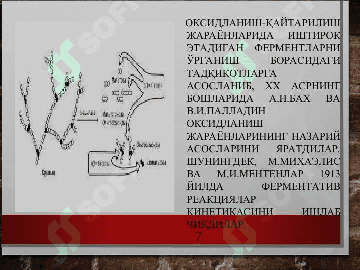 Ферментлар 7