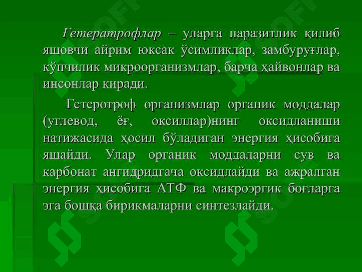 Фотосинтез ва пигментлар. Фотосинтез реакциялари 4