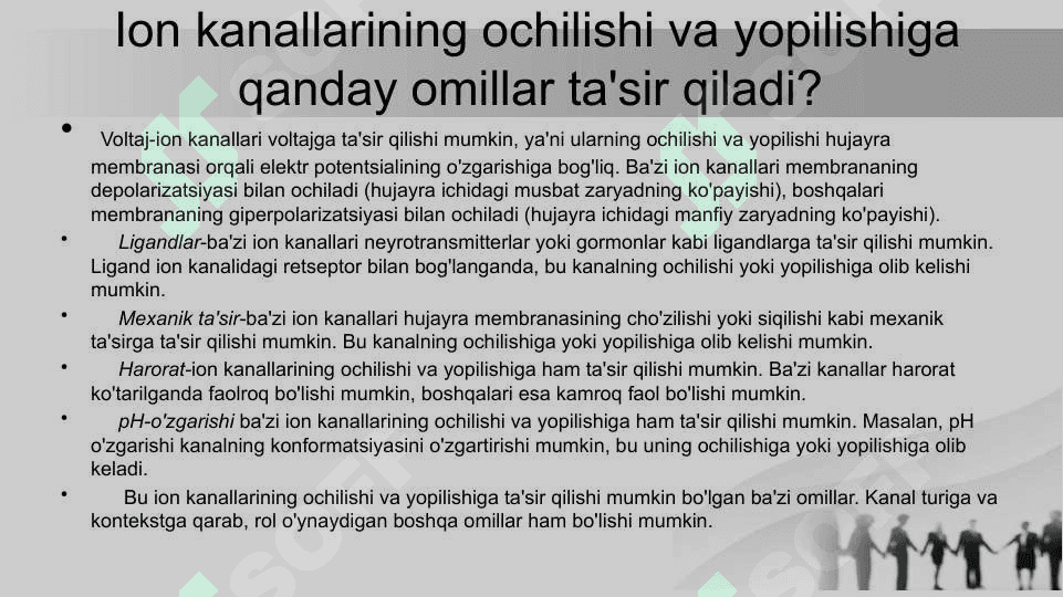 Ion kanallari holat dinamikasining modeli 4