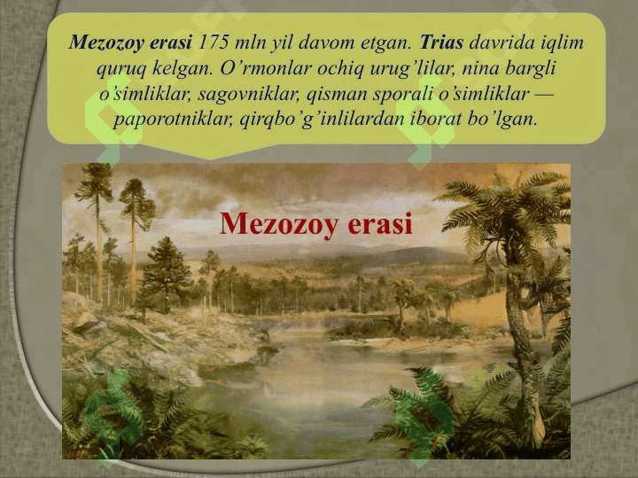 Mezozoy, kaynozoy eralaridagi hayot 2