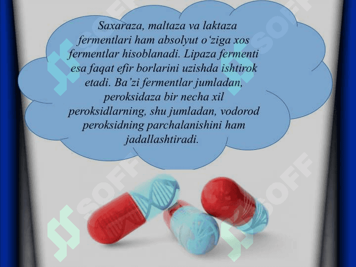 Mikroorganizmlar ishlab chiqaradigan fermentlar fermentlarni biotexnologiyada foydalanilishi va biotexnologik xususiyatlari 3