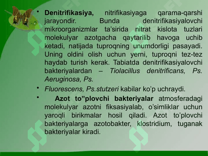 Mikroorganizmlarning tabiatda moddalar almashinuvidagi roli 7