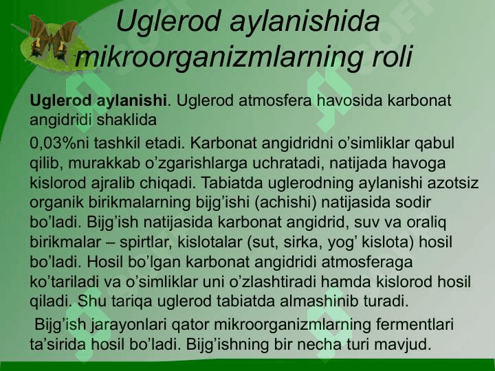 Mikroorganizmlarning tabiatda moddalar almashinuvidagi roli 8