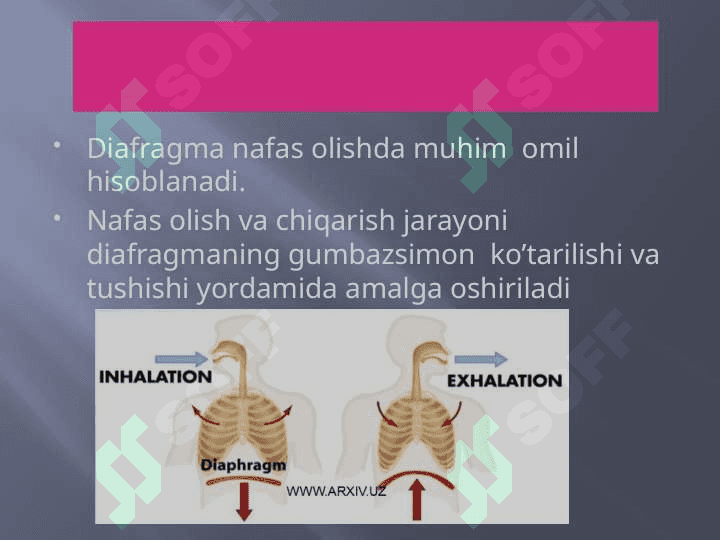 Odam nafas olish tizimi 7