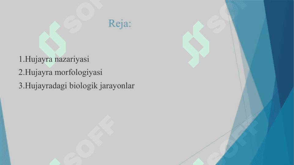 Hujayralarning umumiy morfologiyasini o’rganish 2