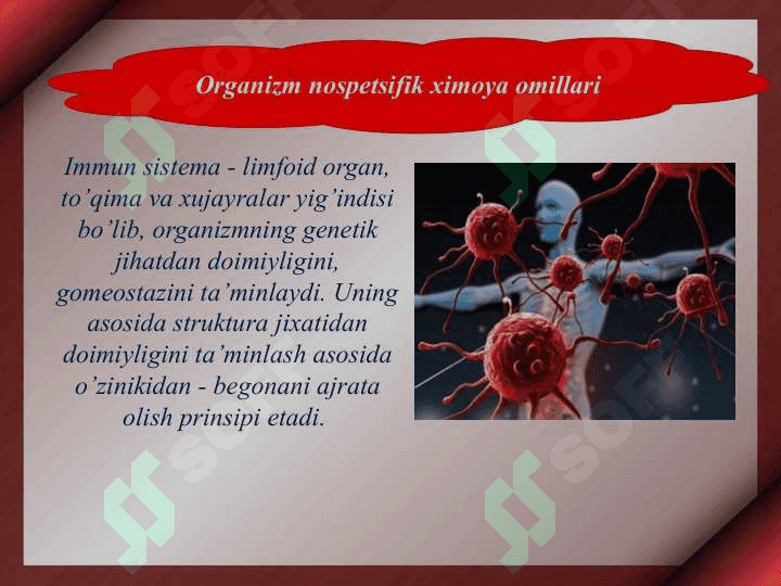Immunitet haqida ta’limot 8