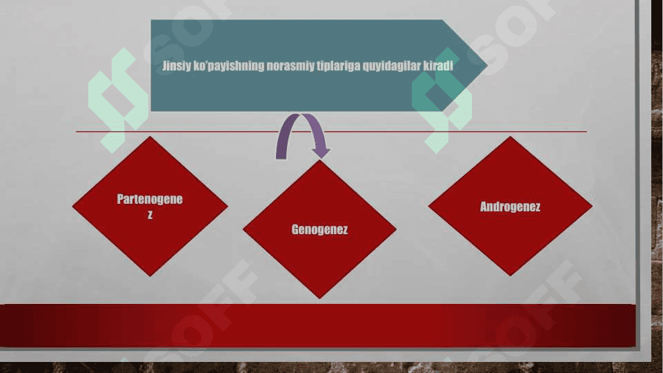 Jinsiy ko’payishning norasmiy tiplari 3