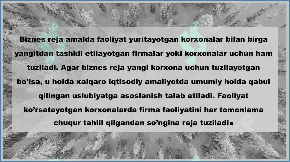Biznes loyihalash, biznes reja 5