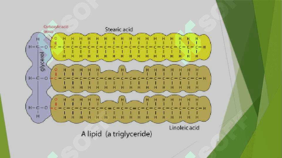 Lipidlar. lipidlarning umumiy hususiyatlari va tasnifi. Oddiy va murakkab lipidlar 3