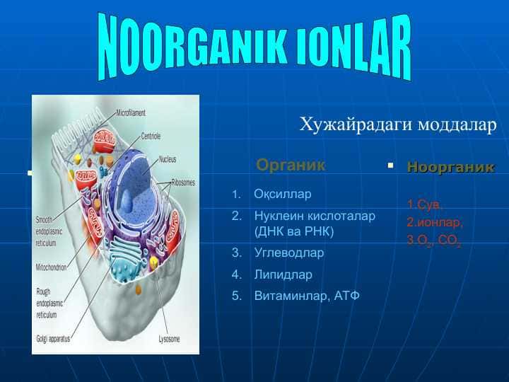 NOORGANIK IONLAR (2)