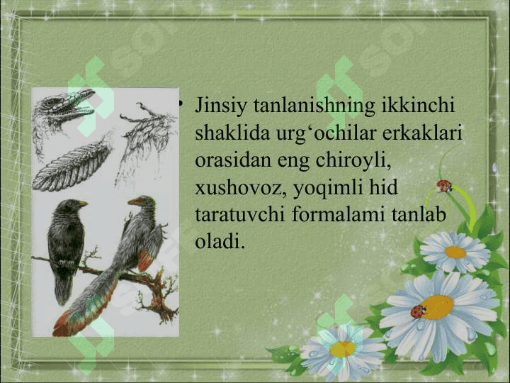 Jinsiy tanlanish 7