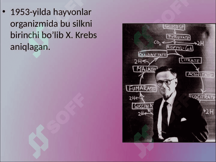 Krebs sikli 4
