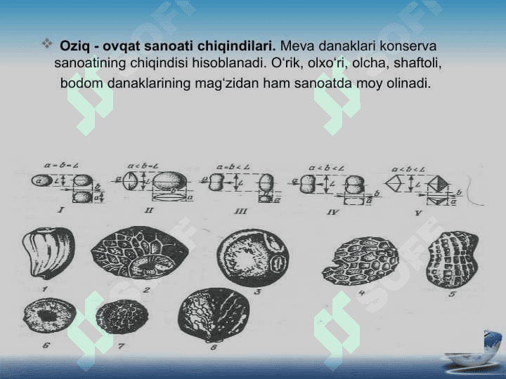 MavzuMoyli xom ashyolarning asosiy turlari. Urug’ va urug’lar uyumining  texnologik xossalari 3