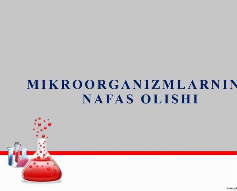 Mikroorganizmlarning NAFAS OLISHI