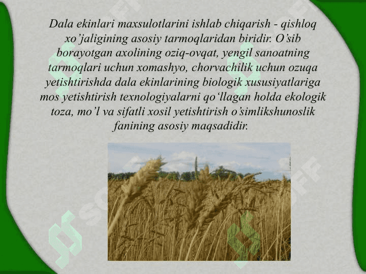 O’simlikshunoslikning tabiy biologik asoslari 2