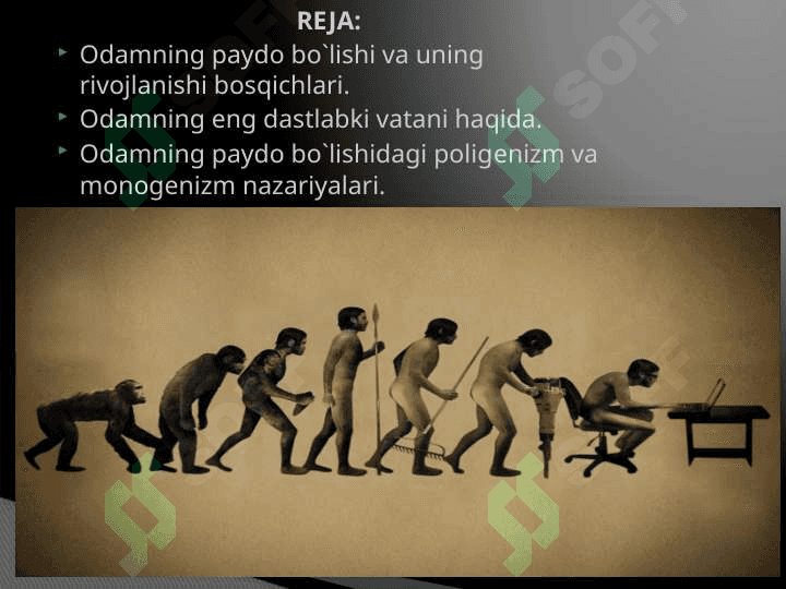 Odam evolyutsiyasi 2