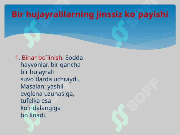 Organizmlarning jinssiz  ko`payishi 6