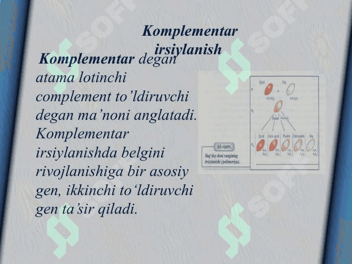 Sholi - biologiyasi va yetishtirish texnologiyasi (2) 2