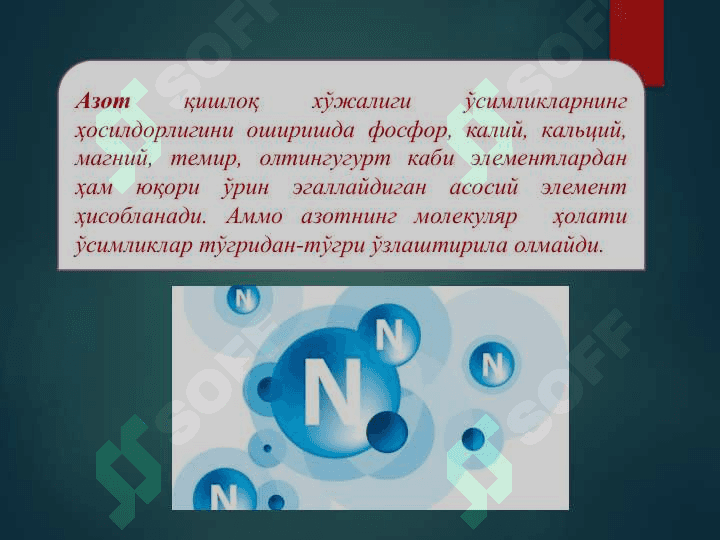 Азотни табиатда алмашинишида микроорганизмларнинг роли (2) 2