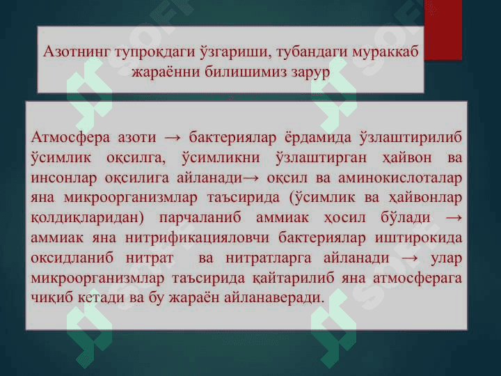 Азотни табиатда алмашинишида микроорганизмларнинг роли (2) 3