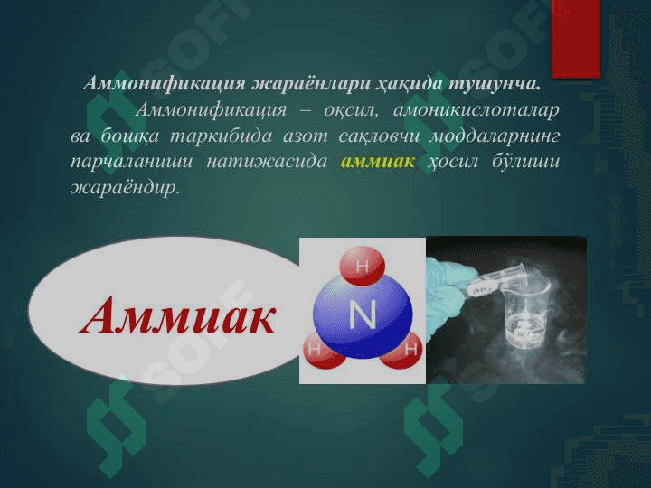 Азотни табиатда алмашинишида микроорганизмларнинг роли (2) 4