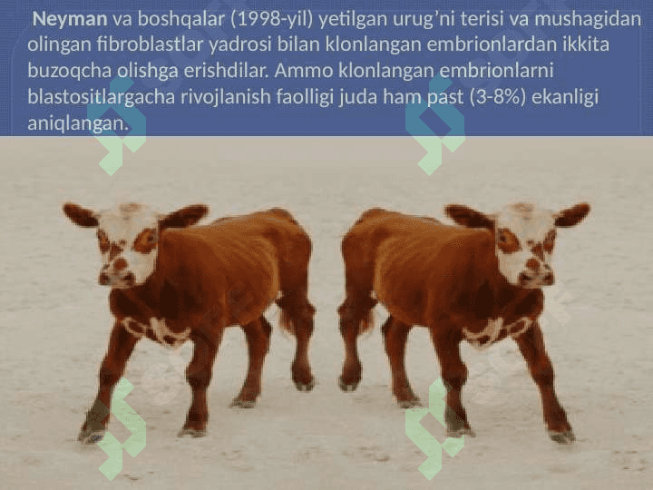 Somatik hujayralar 2
