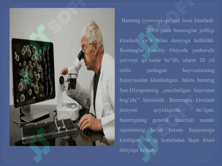 Somatik hujayralar 3