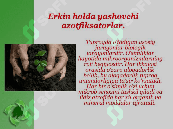 Tuproq biotexnologiyasi va uning vazifalari 3