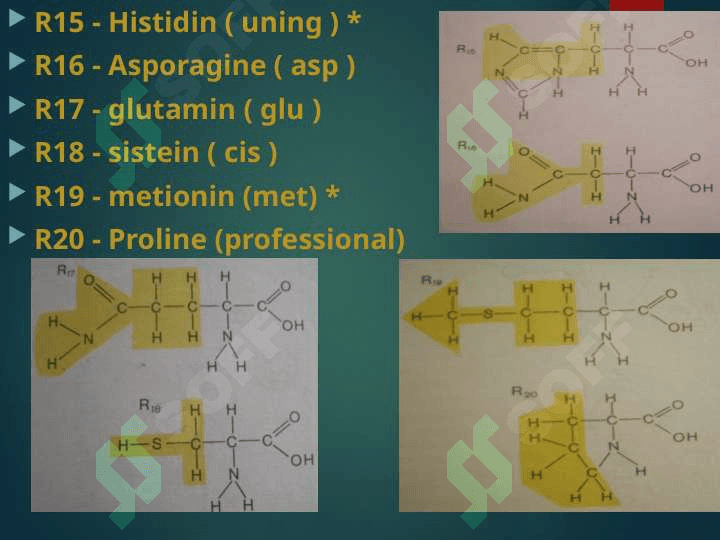 Proteinlar (oqsillar ) 5