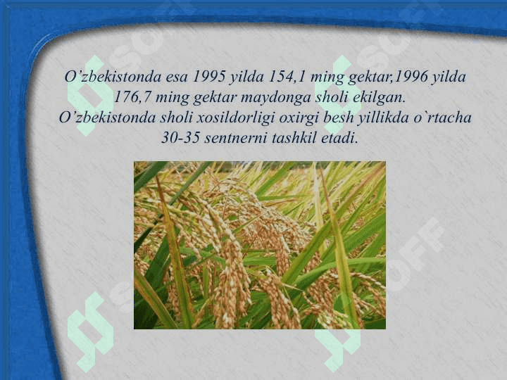 Sitologiya fanining qisqacha tarixi va boshqa fanlar bilan aloqasi 4