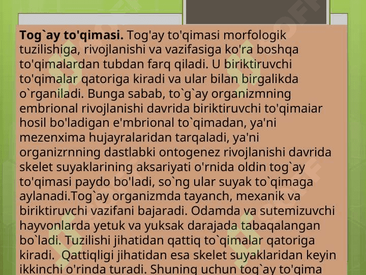 Tog’ay va suyak to’qimasi 3