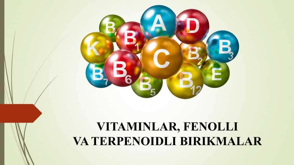 VITAMINLAR, FENOLLI VA TERPENOIDLI BIRIKMALAR