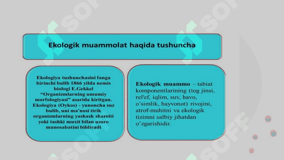 EKOLOGIK INQIROZNING OLDINI OLISH MUAMMOLARI 3